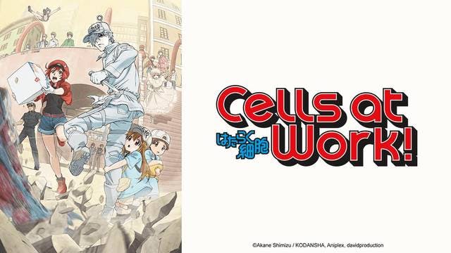Artwork for the Cells at Work anime series